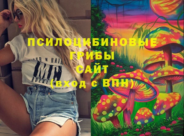 2c-b Алзамай