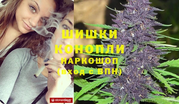 2c-b Алзамай