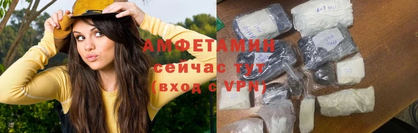 гидра Алексеевка