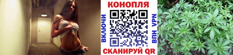 Бошки Шишки Bruce Banner  Петрозаводск 